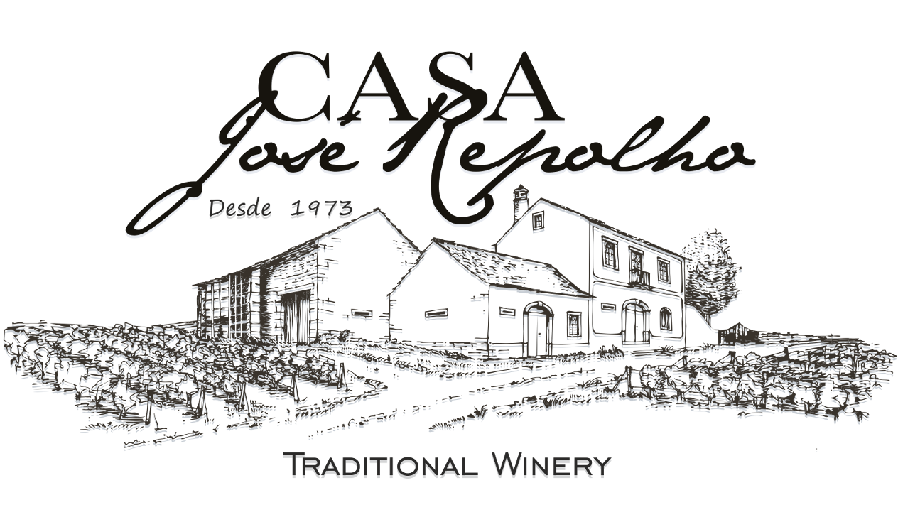 Casa José Repolho - Traditional Winery
