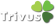 Webdesign Trivus&reg; - Sistemas de Informa&ccedil;&atilde;o